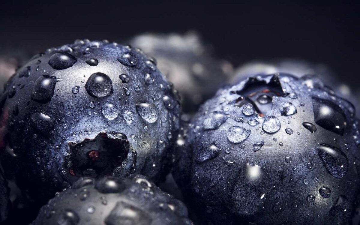 Blueberry Power Antioxidant: A Burst of Nutritional Protection