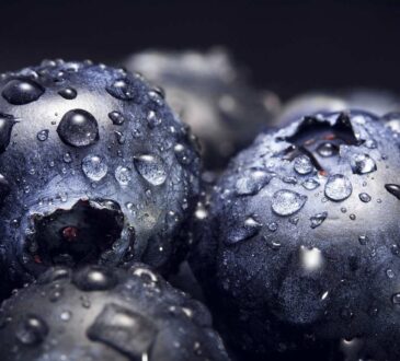 Blueberry Power Antioxidant: A Burst of Nutritional Protection