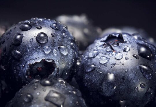Blueberry Power Antioxidant: A Burst of Nutritional Protection