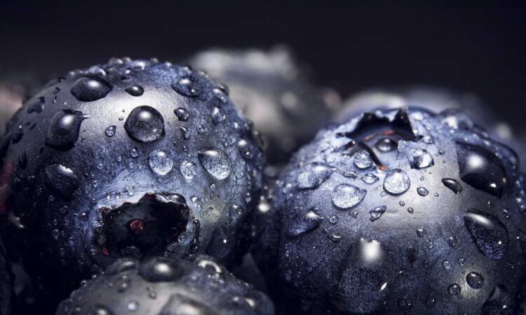 Blueberry Power Antioxidant: A Burst of Nutritional Protection