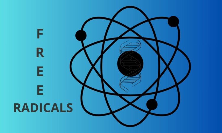 free radicals stricture