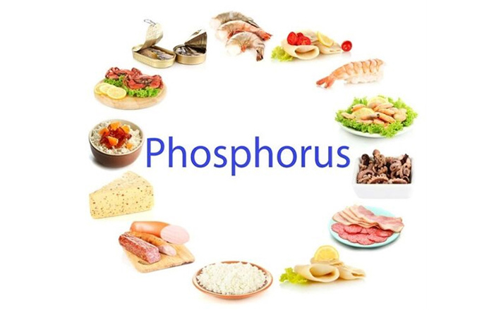 Nutrient-packed phosphorus sources