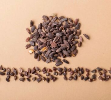 Phosphorus: vital for bones and energy