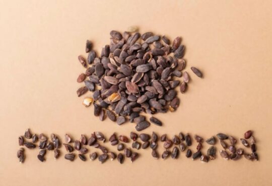 Phosphorus: vital for bones and energy