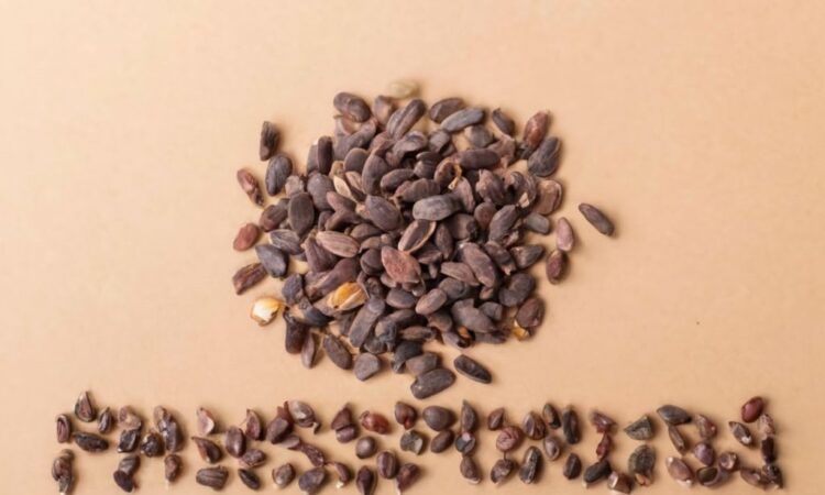 Phosphorus: vital for bones and energy