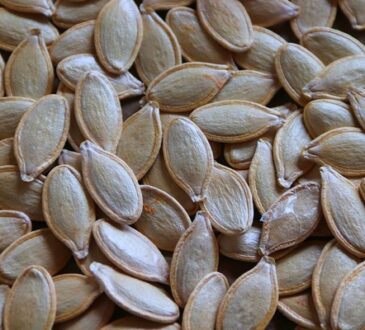 pumpkin seeds - a healthy snack rich in nutrients