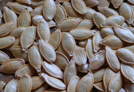 pumpkin seeds - a healthy snack rich in nutrients