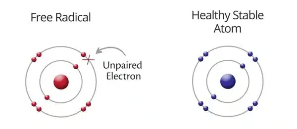 free radical: an atom with an unpaired electron