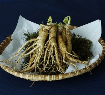 Ginseng, Γεράνι, Ginseng, Женьшень, 人参, ジンセン, 인삼, جينسنغ, जिनसेंग, জিনসেঙ্গ