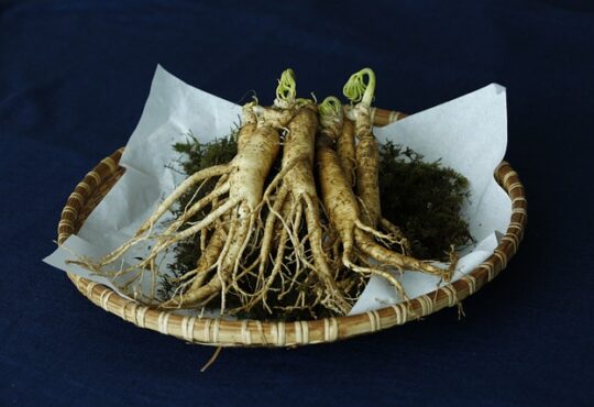 Ginseng, Γεράνι, Ginseng, Женьшень, 人参, ジンセン, 인삼, جينسنغ, जिनसेंग, জিনসেঙ্গ