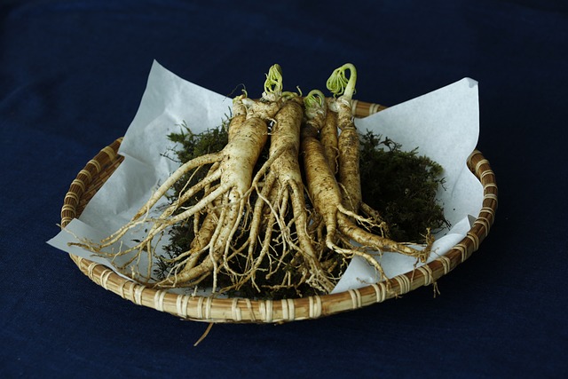 Ginseng, Γεράνι, Ginseng, Женьшень, 人参, ジンセン, 인삼, جينسنغ, जिनसेंग, জিনসেঙ্গ