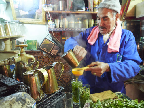 sage,Salbei, Sauge, Salvia, Salvia, Шалфей, セージ, 鼠尾草, سالمية, Salbei