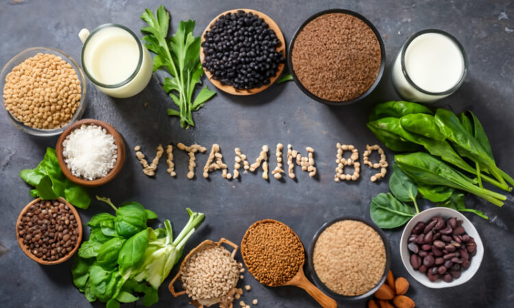VITAMIN B9 ROCH FOOD SOURCE