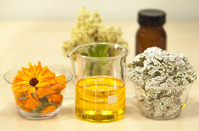 MEDICINAL BENEFITS OF YARROW 