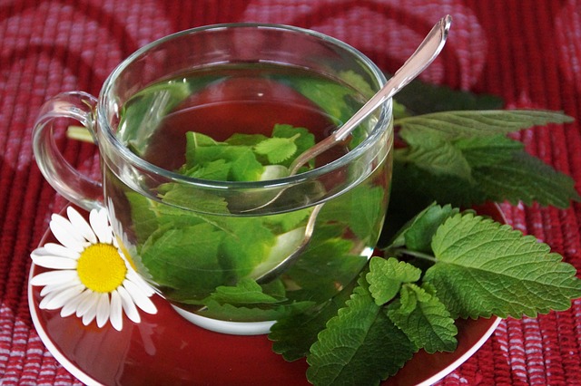 Savor Serenity: Lemon Balm Tea's Calming Essence