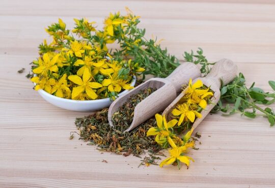 Millepertuis, Johanniskraut, Hierba de San Juan, Erba di San Giovanni, Hipericão, Зверобой (Zveroboy), Sint-Janskruid, Johannesört, Mäkikuisma, Dziurawiec, Orbáncfű, Υπερικόν (Yperikón), Kantaron otu, 圣约翰草 (Shèng yuēhàn cǎo), セイヨウオトギリソウ (Seiyō otogirisō)