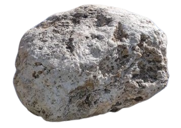 AMBERGRIS