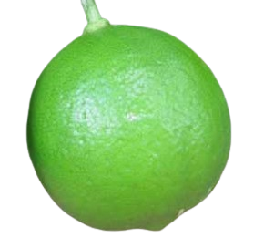 KEY LIME