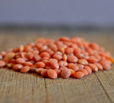 lentils a rich source of vitamin B1