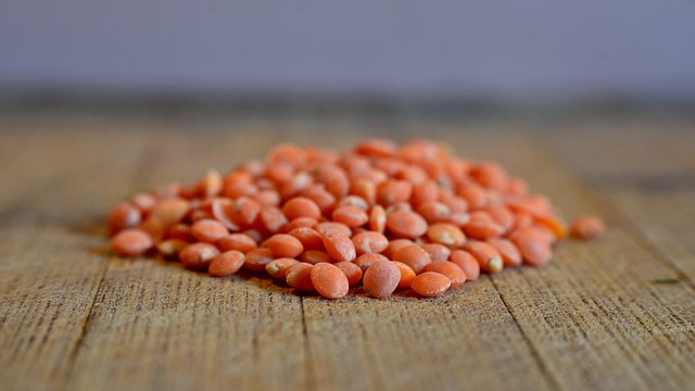 lentils a rich source of vitamin B1