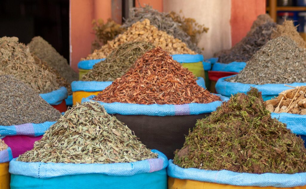 moroccan herbs and plants used in snail broth