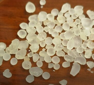 Meska Hora: pistacia lentiscus var chia