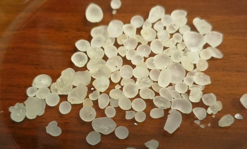 Meska Hora: pistacia lentiscus var chia