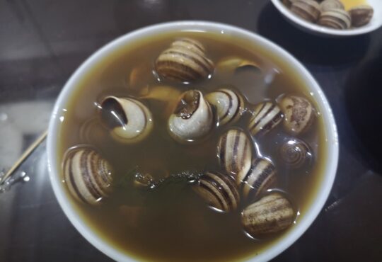 Moroccan snail broth