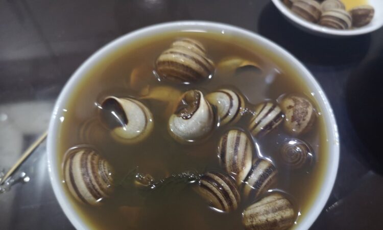 Moroccan snail broth
