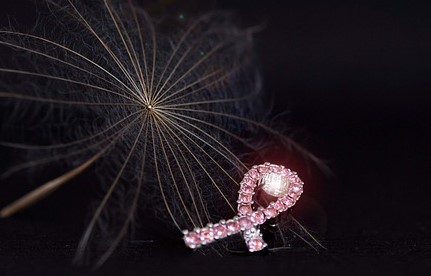 OLIVE OIL EFFECT ON BREAST CANCER