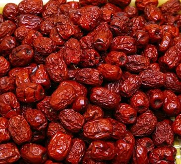 ziziphus jujuba fruits