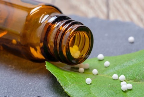 yellow sweet clover granules
