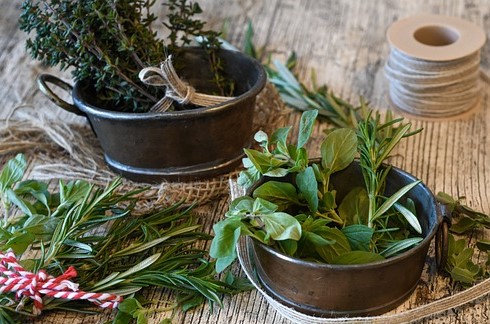 herbes de provence;